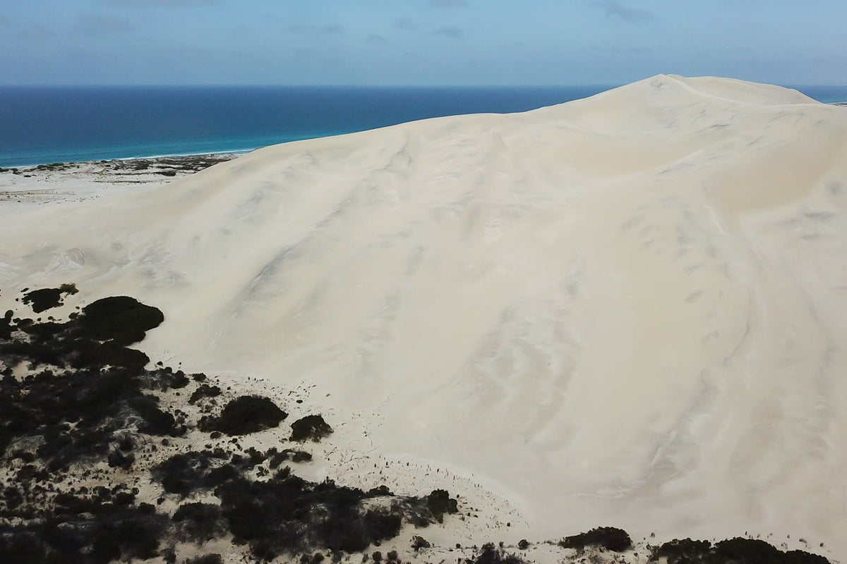 Bilbunya Dunes