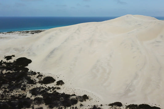Bilbunya Dunes