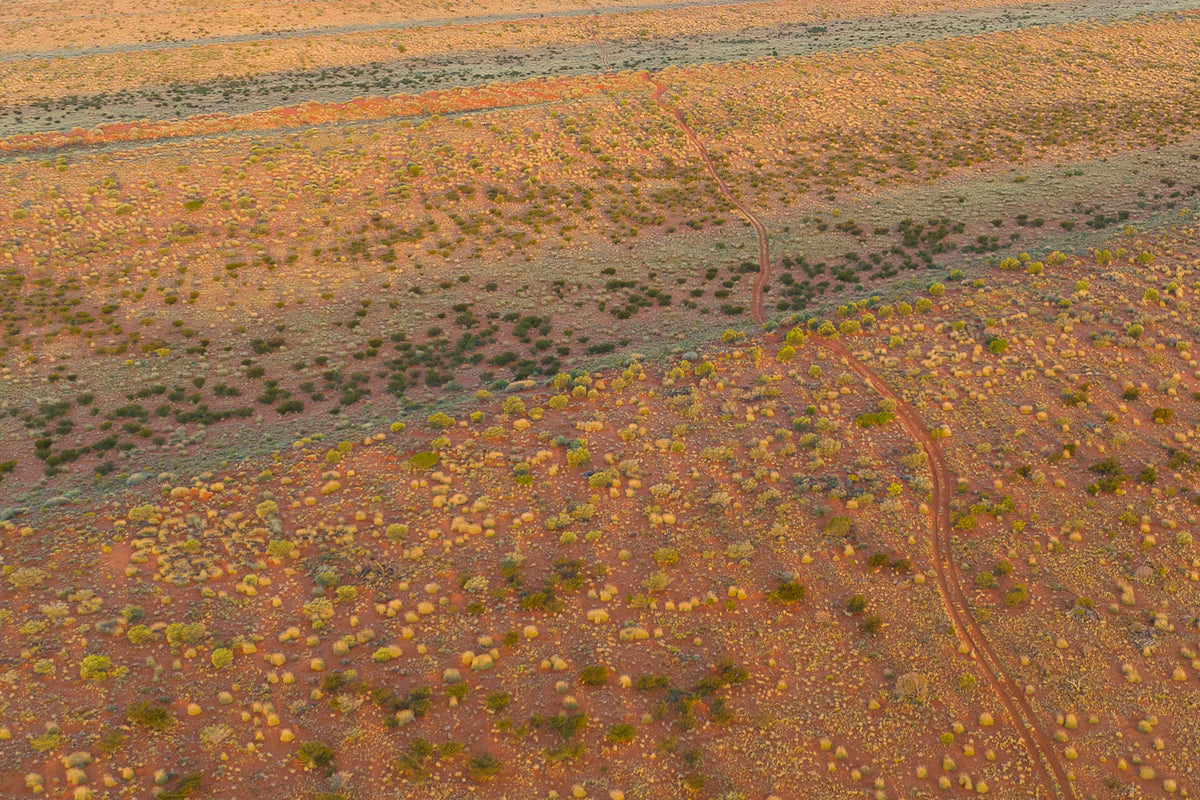 Drone shot by Mike Collister of the Madigan Line weaving through the sand dunes at sunset